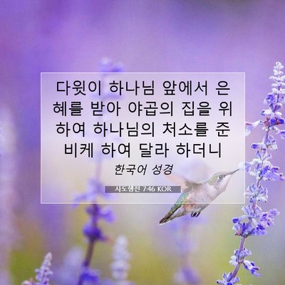 Picture 07 - 사도행전 7:46 KOR - 다윗이 하나님 앞에서 은혜를 받아 - Bible Verse Picture