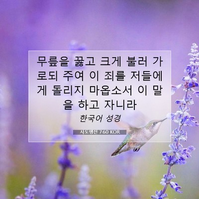 Picture 07 - 사도행전 7:60 KOR - 무릎을 꿇고 크게 불러 가로되 주여 - Bible Verse Picture
