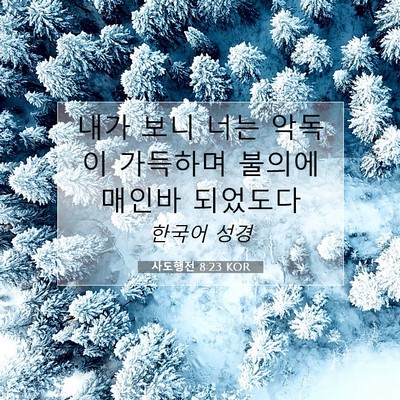 Picture 07 - 사도행전 8:23 KOR - 내가 보니 너는 악독이 가득하며 - Bible Verse Picture