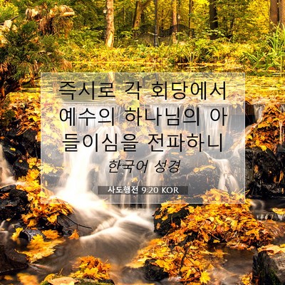 Picture 07 - 사도행전 9:20 KOR - 즉시로 각 회당에서 예수의 하나님의 - Bible Verse Picture