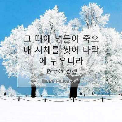 Picture 07 - 사도행전 9:37 KOR - 그 때에 병들어 죽으매 시체를 씻어 - Bible Verse Picture