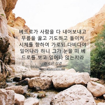 Picture 07 - 사도행전 9:40 KOR - 베드로가 사람을 다 내어보내고 - Bible Verse Picture