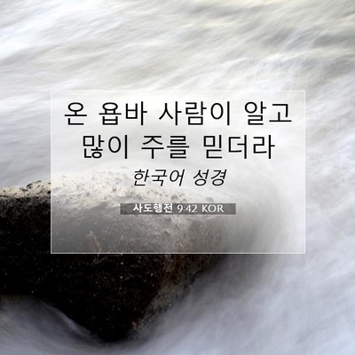 Picture 07 - 사도행전 9:42 KOR - 온 욥바 사람이 알고 많이 주를 - Bible Verse Picture