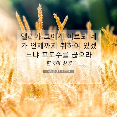 Picture 07 - 사무엘상 1:14 KOR - 엘리가 그에게 이르되 네가 언제까지 - Bible Verse Picture