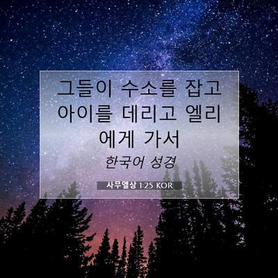 Picture 07 - 사무엘상 1:25 KOR - 그들이 수소를 잡고 아이를 데리고 - Bible Verse Picture