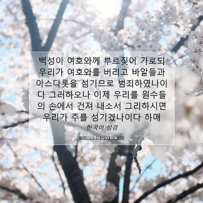 Picture 07 - 사무엘상 12:10 KOR - 백성이 여호와께 부르짖어 가로되 - Bible Verse Picture