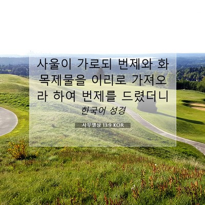 Picture 07 - 사무엘상 13:9 KOR - 사울이 가로되 번제와 화목제물을 - Bible Verse Picture