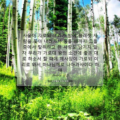 Picture 07 - 사무엘상 14:36 KOR - 사울이 가로되 우리가 밤에 블레셋 - Bible Verse Picture