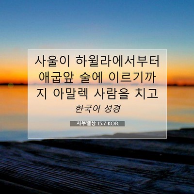 Picture 07 - 사무엘상 15:7 KOR - 사울이 하윌라에서부터 애굽앞 술에 - Bible Verse Picture
