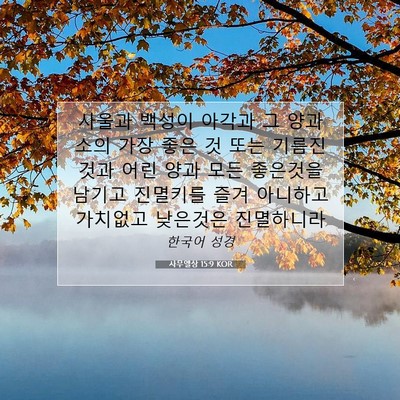 Picture 07 - 사무엘상 15:9 KOR - 사울과 백성이 아각과 그 양과 소의 - Bible Verse Picture