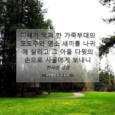 Picture 07 - 사무엘상 16:20 KOR - 이새가 떡과 한 가죽부대의 포도주와 - Bible Verse Picture