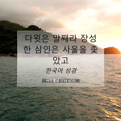 Picture 07 - 사무엘상 17:14 KOR - 다윗은 말째라 장성한 삼인은 사울을 - Bible Verse Picture
