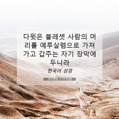 Picture 07 - 사무엘상 17:54 KOR - 다윗은 블레셋 사람의 머리를 - Bible Verse Picture