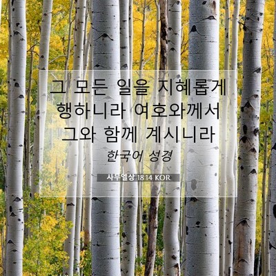 Picture 07 - 사무엘상 18:14 KOR - 그 모든 일을 지혜롭게 행하니라 - Bible Verse Picture