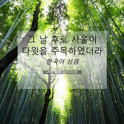 Picture 07 - 사무엘상 18:9 KOR - 그 날 후로 사울이 다윗을 - Bible Verse Picture