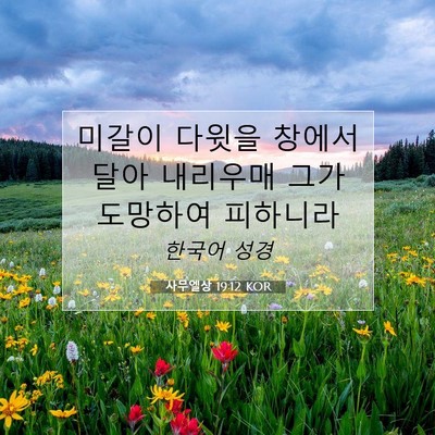 Picture 07 - 사무엘상 19:12 KOR - 미갈이 다윗을 창에서 달아 내리우매 - Bible Verse Picture