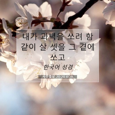 Picture 07 - 사무엘상 20:20 KOR - 내가 과녁을 쏘려 함 같이 살 셋을 그 - Bible Verse Picture