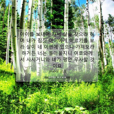 Picture 07 - 사무엘상 20:21 KOR - 아이를 보내어 가서 살을 찾으라 - Bible Verse Picture