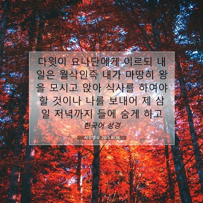 Picture 07 - 사무엘상 20:5 KOR - 다윗이 요나단에게 이르되 내일은 - Bible Verse Picture