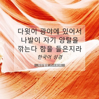 Picture 07 - 사무엘상 25:4 KOR - 다윗이 광야에 있어서 나발이 자기 - Bible Verse Picture