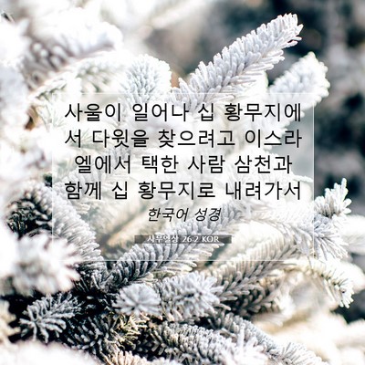 Picture 07 - 사무엘상 26:2 KOR - 사울이 일어나 십 황무지에서 다윗을 - Bible Verse Picture