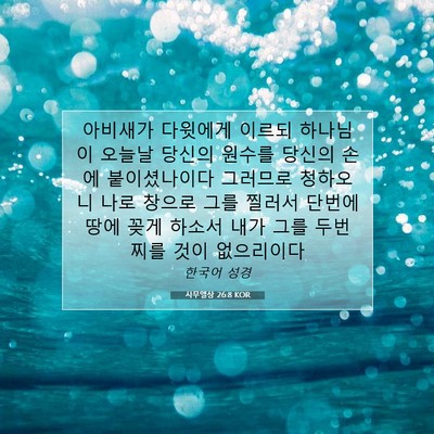 Picture 07 - 사무엘상 26:8 KOR - 아비새가 다윗에게 이르되 하나님이 - Bible Verse Picture