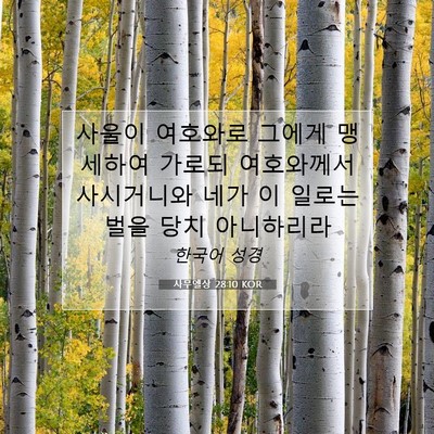 Picture 07 - 사무엘상 28:10 KOR - 사울이 여호와로 그에게 맹세하여 - Bible Verse Picture