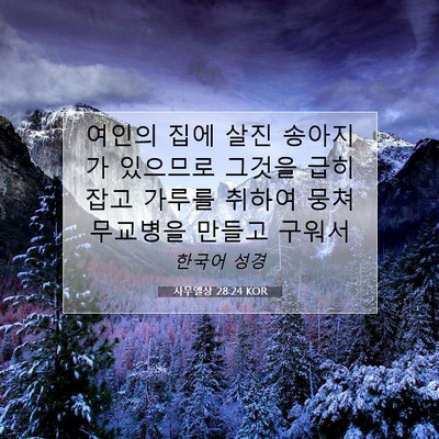 Picture 07 - 사무엘상 28:24 KOR - 여인의 집에 살진 송아지가 있으므로 - Bible Verse Picture