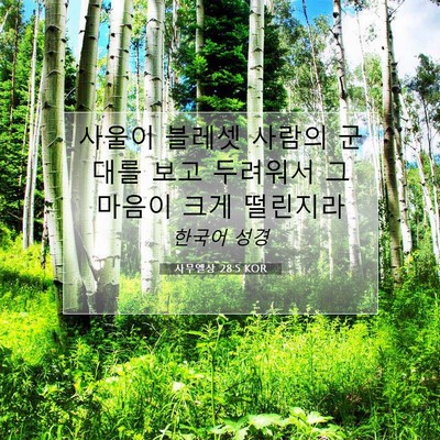Picture 07 - 사무엘상 28:5 KOR - 사울이 블레셋 사람의 군대를 보고 - Bible Verse Picture