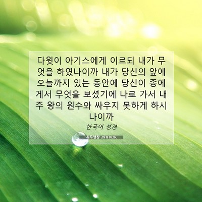 Picture 07 - 사무엘상 29:8 KOR - 다윗이 아기스에게 이르되 내가 - Bible Verse Picture