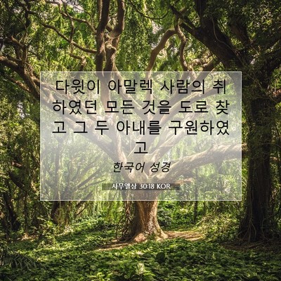 Picture 07 - 사무엘상 30:18 KOR - 다윗이 아말렉 사람의 취하였던 모든 - Bible Verse Picture