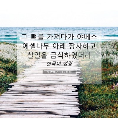 Picture 07 - 사무엘상 31:13 KOR - 그 뼈를 가져다가 야베스 에셀나무 - Bible Verse Picture