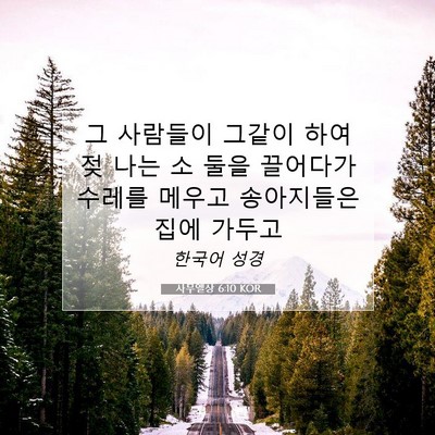Picture 07 - 사무엘상 6:10 KOR - 그 사람들이 그같이 하여 젖 나는 소 - Bible Verse Picture