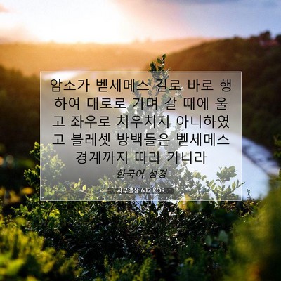 Picture 07 - 사무엘상 6:12 KOR - 암소가 벧세메스 길로 바로 행하여 - Bible Verse Picture