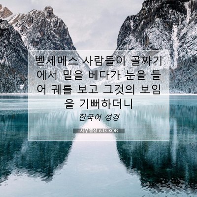 Picture 07 - 사무엘상 6:13 KOR - 벧세메스 사람들이 골짜기에서 밀을 - Bible Verse Picture