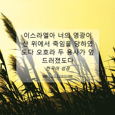 Picture 07 - 사무엘하 1:19 KOR - 이스라엘아 너의 영광이 산 위에서 - Bible Verse Picture