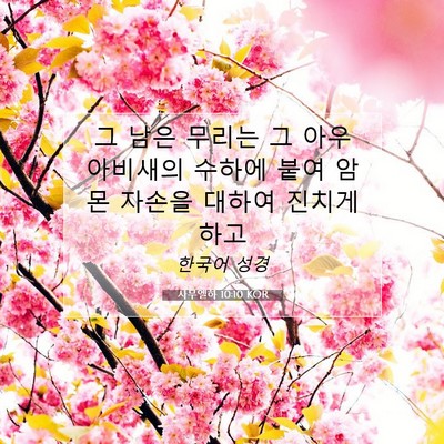 Picture 07 - 사무엘하 10:10 KOR - 그 남은 무리는 그 아우 아비새의 - Bible Verse Picture