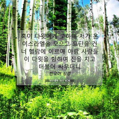 Picture 07 - 사무엘하 10:17 KOR - 혹이 다윗에게 고하매 저가 온 - Bible Verse Picture