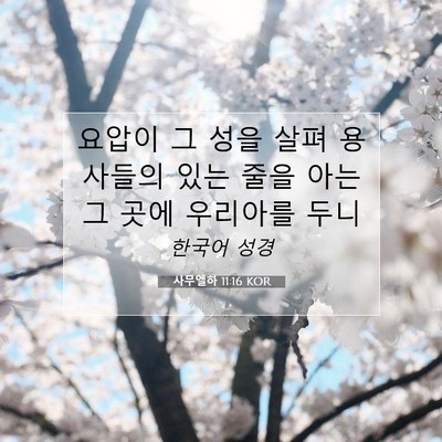 Picture 07 - 사무엘하 11:16 KOR - 요압이 그 성을 살펴 용사들의 있는 - Bible Verse Picture