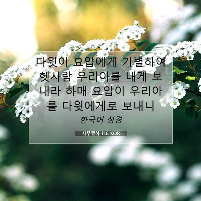 Picture 07 - 사무엘하 11:6 KOR - 다윗이 요압에게 기별하여 헷사람 - Bible Verse Picture