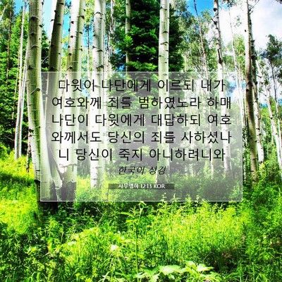 Picture 07 - 사무엘하 12:13 KOR - 다윗이 나단에게 이르되 내가 - Bible Verse Picture