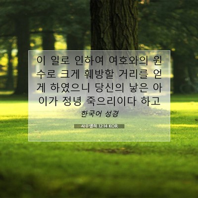Picture 07 - 사무엘하 12:14 KOR - 이 일로 인하여 여호와의 원수로 - Bible Verse Picture