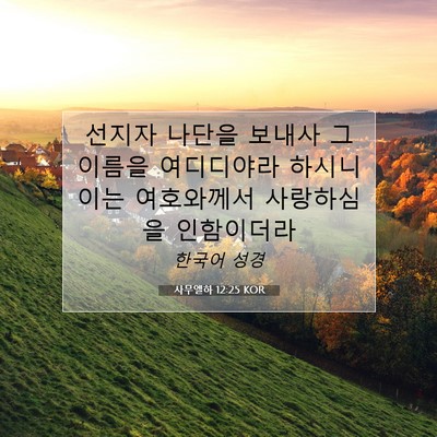 Picture 07 - 사무엘하 12:25 KOR - 선지자 나단을 보내사 그 이름을 - Bible Verse Picture