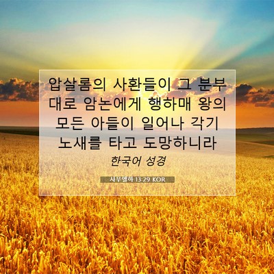Picture 07 - 사무엘하 13:29 KOR - 압살롬의 사환들이 그 분부대로 - Bible Verse Picture