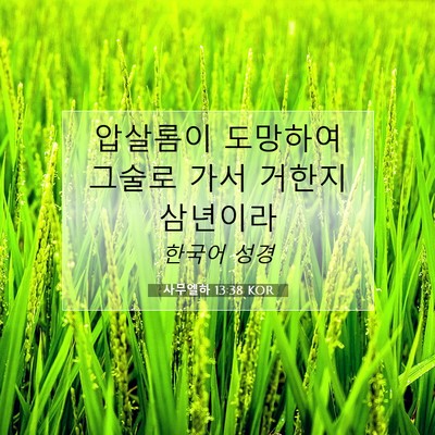 Picture 07 - 사무엘하 13:38 KOR - 압살롬이 도망하여 그술로 가서 - Bible Verse Picture