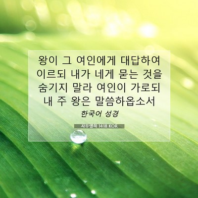 Picture 07 - 사무엘하 14:18 KOR - 왕이 그 여인에게 대답하여 이르되 - Bible Verse Picture