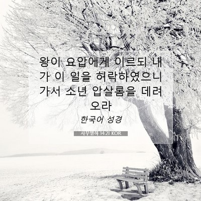 Picture 07 - 사무엘하 14:21 KOR - 왕이 요압에게 이르되 내가 이 일을 - Bible Verse Picture