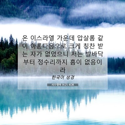 Picture 07 - 사무엘하 14:25 KOR - 온 이스라엘 가운데 압살롬 같이 - Bible Verse Picture