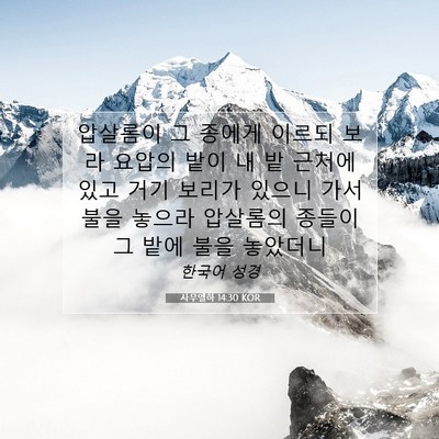 Picture 07 - 사무엘하 14:30 KOR - 압살롬이 그 종에게 이르되 보라 - Bible Verse Picture