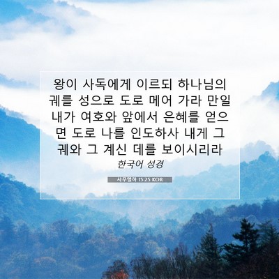 Picture 07 - 사무엘하 15:25 KOR - 왕이 사독에게 이르되 하나님의 궤를 - Bible Verse Picture